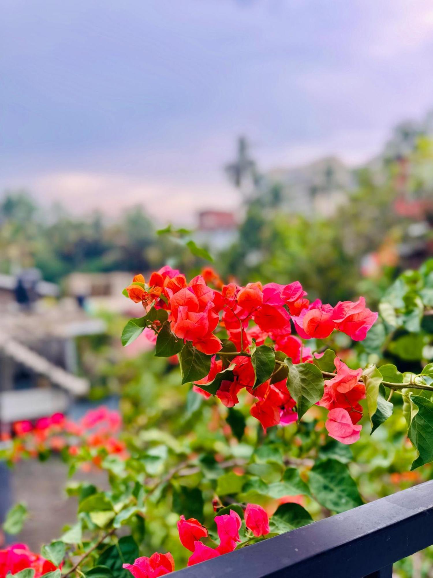 Aluthgedara Guest House 乌纳瓦图纳 外观 照片