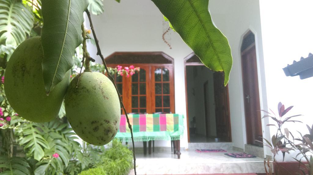 Aluthgedara Guest House 乌纳瓦图纳 外观 照片