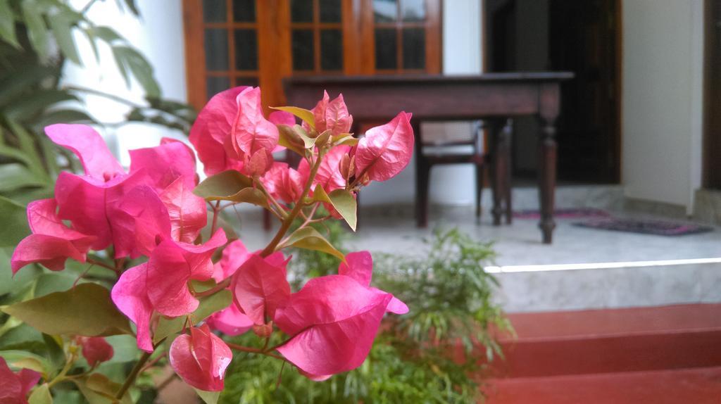 Aluthgedara Guest House 乌纳瓦图纳 外观 照片