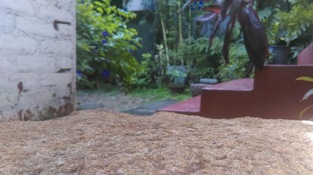 Aluthgedara Guest House 乌纳瓦图纳 外观 照片