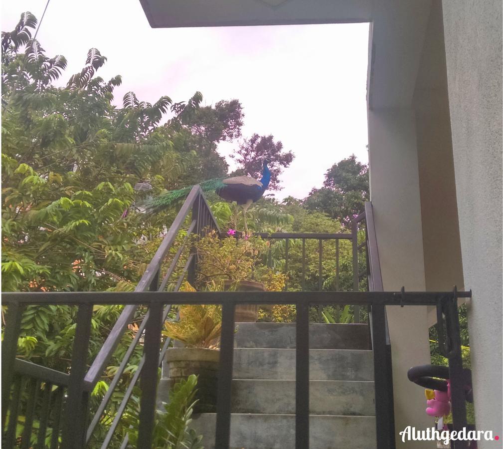Aluthgedara Guest House 乌纳瓦图纳 外观 照片